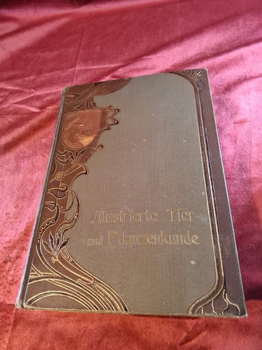 Antikes buch tier und - antikes,