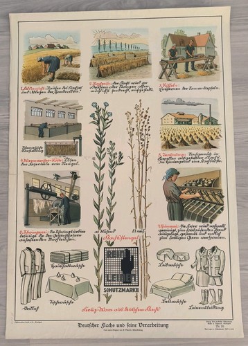 253 deutscher flachs - nr, und